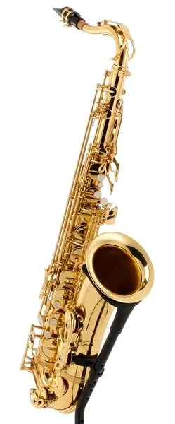 Startone STS-75 Tenor Sax detail 4