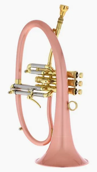 Taylor Trumpets Phat Boy detail 3