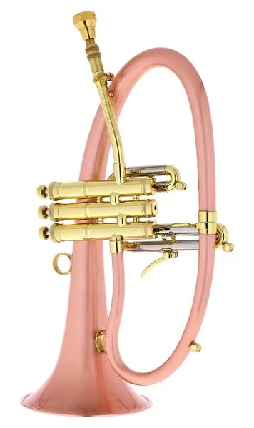 Taylor Trumpets Phat Boy detail 4