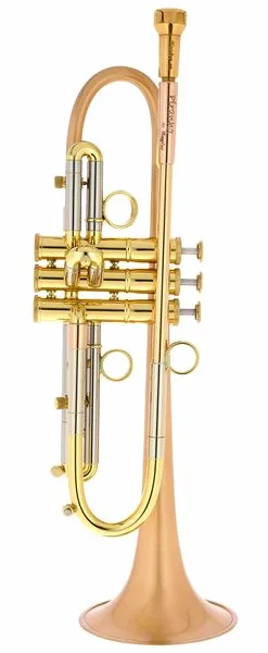 Taylor Trumpets Piranha Bb-Trumpet BF detail 2
