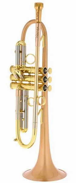 Taylor Trumpets Piranha Bb-Trumpet BF detail 3