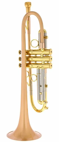 Taylor Trumpets Piranha Bb-Trumpet BF detail 4