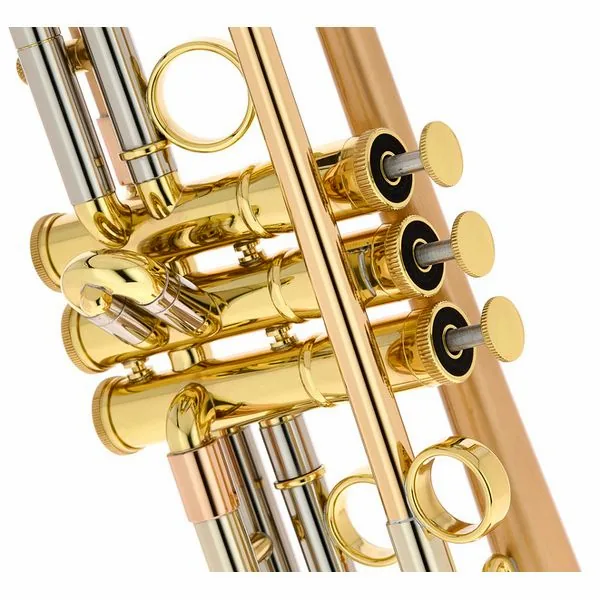 Taylor Trumpets Piranha Bb-Trumpet BF detail 5