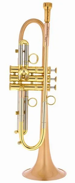 Taylor Trumpets Piranha Bb-Trumpet BF vooraanzicht