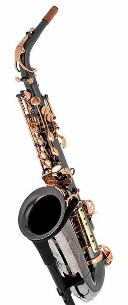 Thomann ASBBG Custom Line Alto Sax detail 2