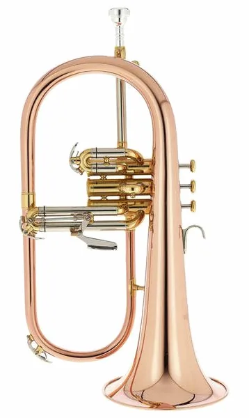 Thomann FH 600 G Bb-Flugelhorn vooraanzicht