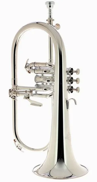 Thomann FH 600 GS Bb-Flugelhorn detail 3