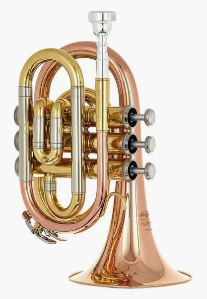 Thomann TR 25G Bb-Pocket Trumpet detail 3