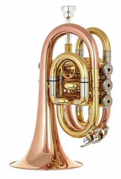 Thomann TR 25G Bb-Pocket Trumpet detail 4