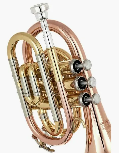Thomann TR 25G Bb-Pocket Trumpet detail 5