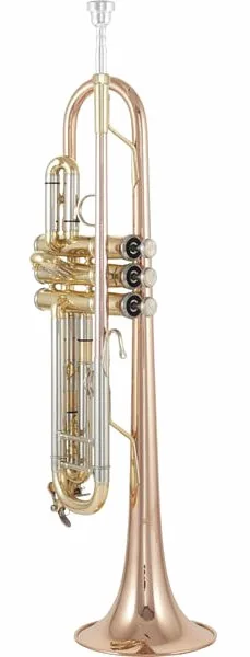 Thomann TR 500 GL Bb-Trumpet detail 2