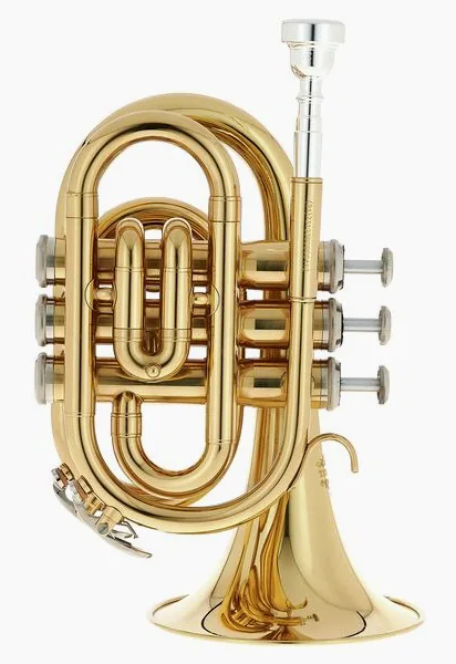 Thomann TR 25 Bb-Pocket Trumpet vooraanzicht