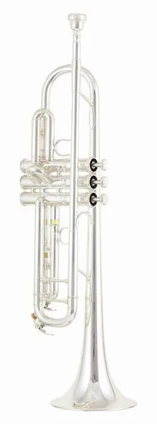 Yamaha YTR-8335GS 04 Trumpet detail 2