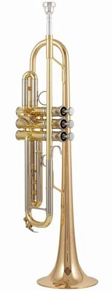 Yamaha YTR-8345RG 04 Trumpet detail 2