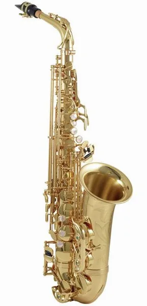 Yanagisawa A-WO1 Alto Sax detail 3