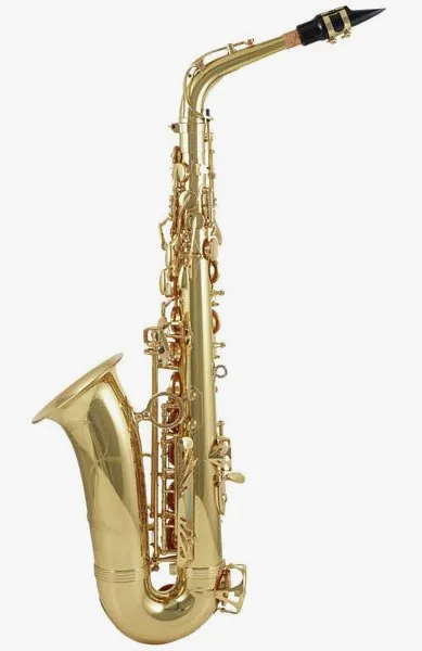 Yanagisawa A-WO1 Alto Sax detail 4