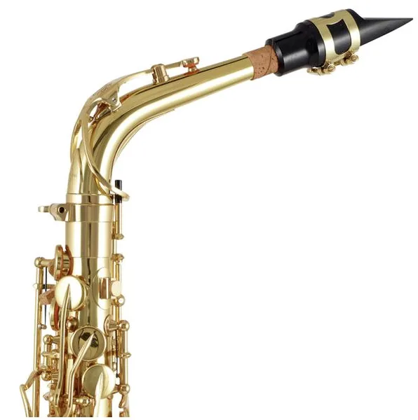 Yanagisawa A-WO1 Alto Sax detail 5