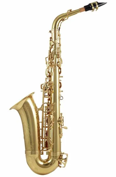 Yanagisawa A-WO10 Elite Alto Sax detail 4