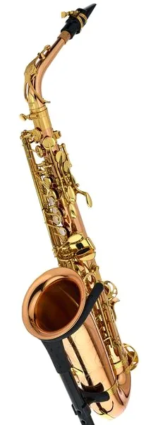 Yanagisawa A-WO2 Alto Sax detail 2