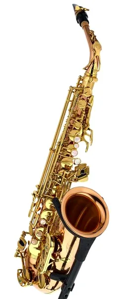 Yanagisawa A-WO2 Alto Sax detail 4