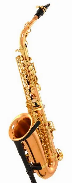 Yanagisawa A-WO20 Elite Alto Sax detail 2