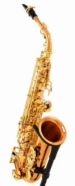 Yanagisawa A-WO20 Elite Alto Sax detail 4