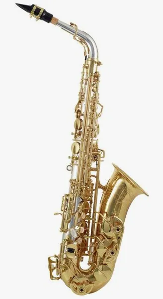 Yanagisawa A-WO30 Elite Alto Sax detail 4