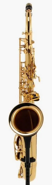 Yanagisawa T-WO10 Elite Tenor Sax detail 3
