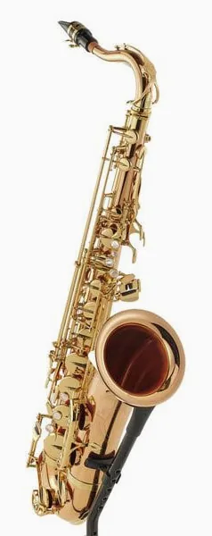 Yanagisawa T-WO2 Tenor Sax detail 4